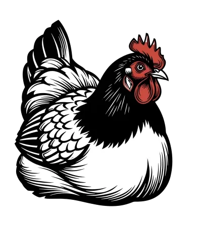 Imagen PNG para descargar